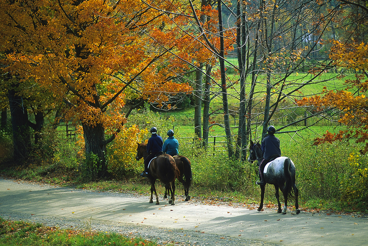 Luxury Vermont real estate