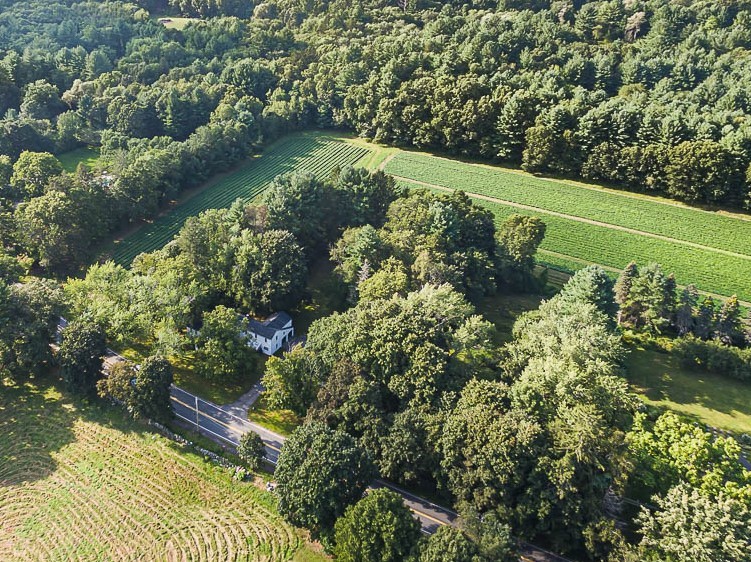 Luxury Real Estate & Timberland Properties LandVest