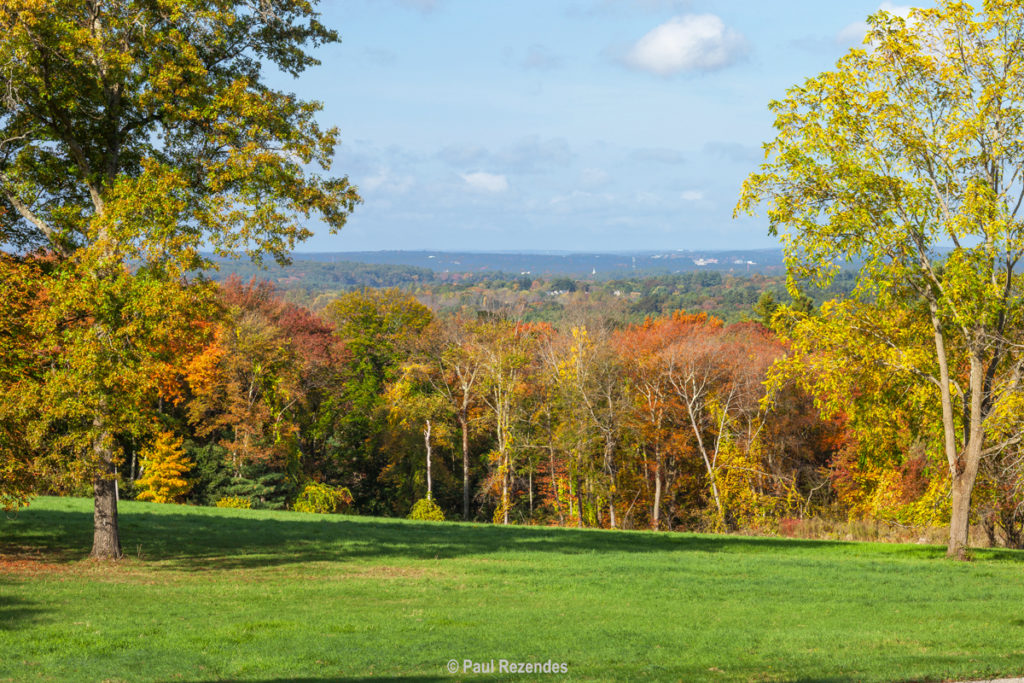 Luxury Real Estate & Timberland Properties LandVest