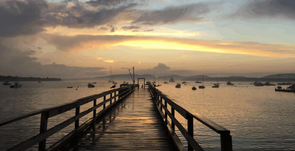 Docks of Distinction