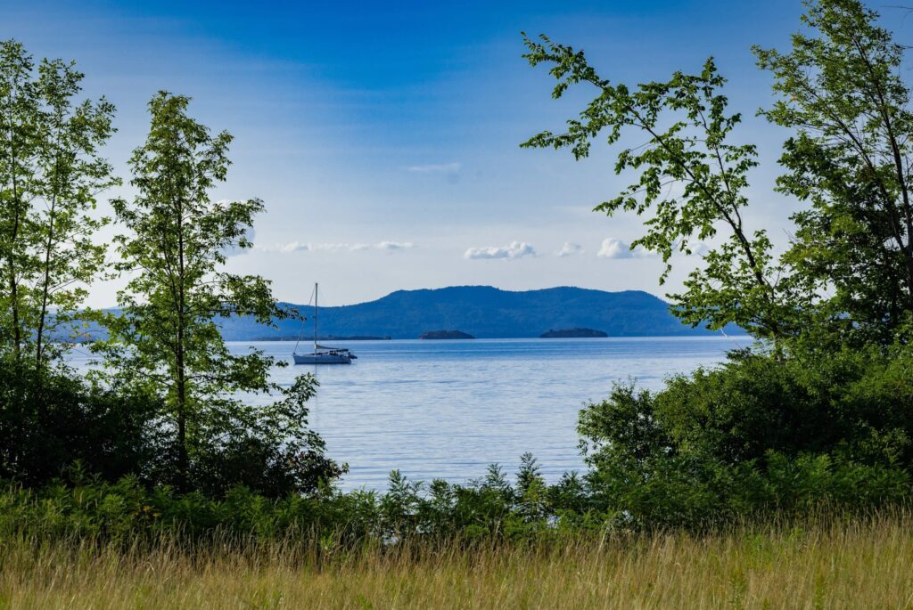 Q1 Expectations Exceeded: