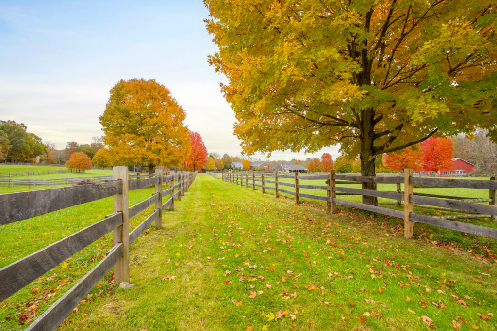 Middlesex County | Massachusetts High-End Market Watch, First Half 2025